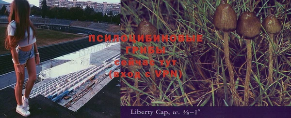 марки lsd Осинники