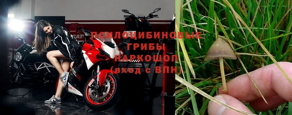 молекула духа Нязепетровск